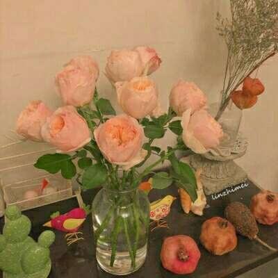 KU体育BET9注册截图